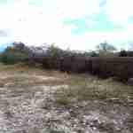 Dockyard Wall