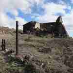 Morton fence, St Helena